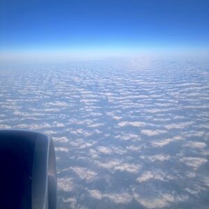 Meet your Posher, Jonah